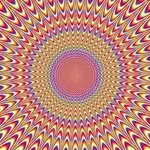 405920_299760873410298_160997017286685_694709_1300720220_n.webp