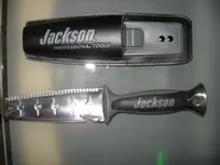 Jackson 007.webp