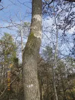 IMGP3997.webp