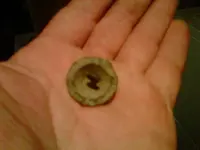 IMG00012-20120226-2238.webp