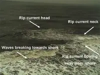 rip-current.webp