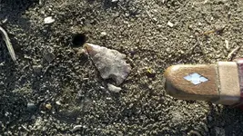 2012-03-05_16-11-37_366 (1024x577).webp