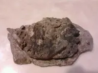 1334050339661.webp