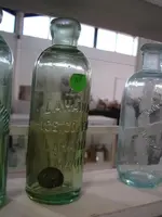 HAWAII EXPO_005.webp