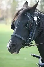 178px-Horse-at-Work.webp