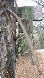 Trail Green Blg 2.webp