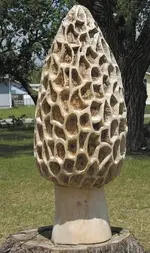 morel.webp