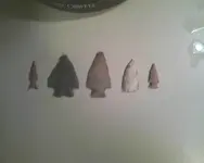 02 26 12 River Finds1.webp