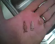 02 26 12 River Finds2.webp