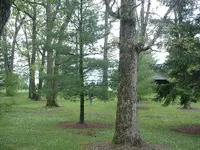 Picture 083.webp