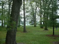 Picture 084.webp