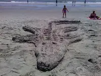 downsized_alligator[2].webp