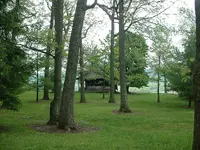 Picture 087.webp