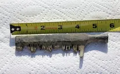 comb1.webp