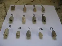 Feb 2010 044.webp