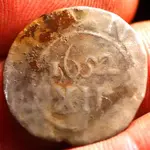 NH FINDS 03-05 001.webp