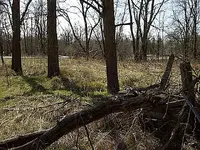 Brougham Hotel Site 004.webp