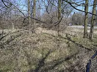 Brougham Hotel Site 005.webp