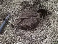Brougham Hotel Site 009.webp