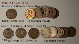 Wheat War 53.webp