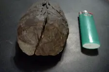 FxCam_1331173870382.webp