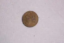 62 button.webp