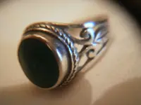 silver ring beach_2012 04 23_0033.webp
