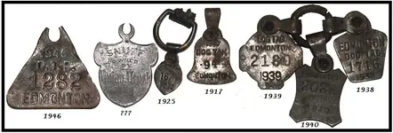 old dog tags.webp