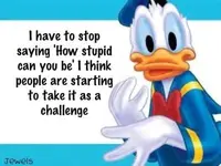 Duck.webp