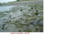 DSCF1428.webp