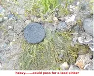 DSCF1426.webp