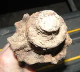 DSCN5788.webp