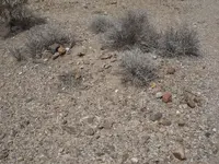 DSCN4217.webp