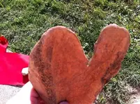 Mandan Artifacts (9).webp