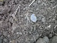 100_4888.webp