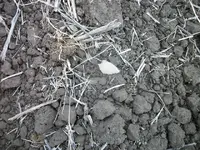100_4894.webp
