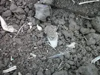 100_4902.webp