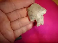 new field find2.webp