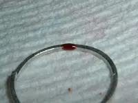 DSCF1212.webp