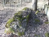 3-7-12-Indian 023-700.webp