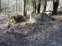 3-7-12-Indian 030-700.webp