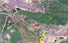 Scan_Pic0010-prairiepup.webp