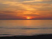 hdhdh 131.webp