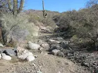 good looking small rich creek.webp