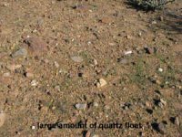 Lots of quartz float on the claims.jpg