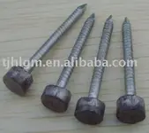 Lead_Head_Nail[1].webp