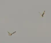 20120413_102.webp