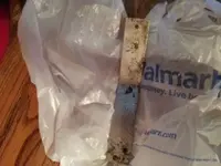 20120318_144128.webp