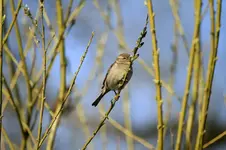 20120326_3.webp