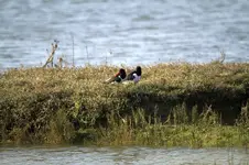 20120326_19.webp